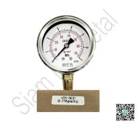 PRESSURE GAUGE DIA 2.5" PORT 1/4"