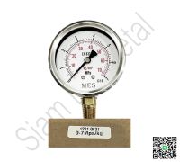 PRESSURE GAUGE DIA 2.5" PORT 1/4" พร้อมน้ำมัน