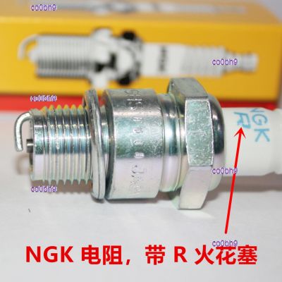 co0bh9 2023 High Quality 1pcs NGK resistance R spark plug is suitable for E6TC E5TC E6RTC E5RTC generator Subaru Sea 6 horses 4114