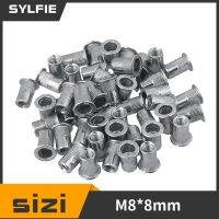 8mm Aluminum Flat Head Rivet Nut M8 Silver for Railway Pack of 25