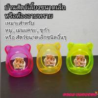 ห้องน้ำหนู ที่อาบทรายหนู ที่อาบน้ำหนู ห้องน้ำหนูแฮมเตอร์ ห้องน้ำสำหรับหนู บ้านหนู ห้องน้ำชูก้า บ้านชูก้า ห้องน้ำเม่นแคะ