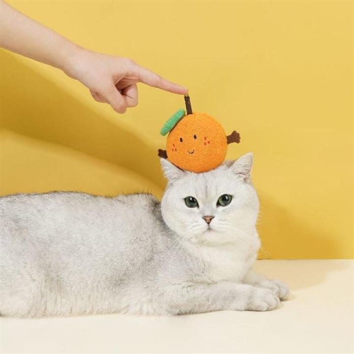 ของเล่นแมวแสนตลกส้มของเล่นแคทนต่อการกัดแมวของเล่นแมวแท่งของเล่นแมวแคทนของเล่นแมวตลก