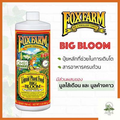 [ready stock]Fox Farm Big Bloom (0.0-0.5-0.7) ขนาดแบ่งขาย 100/250/500ML ปุ๋ยนอก ปุ๋ยนำเข้า ปุ๋ยเมกา ปุ๋ยUSAมีบริการเก็บเงินปลายทาง