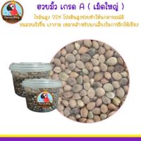 ฮวยมั้ว เกรด A (สำหรับฝึกนก ให้รางวัลนก ) ( แบ่งขาย 50g.)