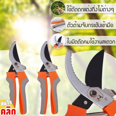 Pruning Shears Spring กรรไกรตัดตกแต่งกิ้งไม้คอสปิง