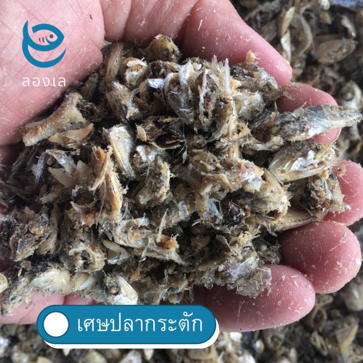 ปลาป่นโปรตีน-30-fish-meal-เศษปลาจากปลากะตักตากแห้งโปรตีนสูง-สำหรับเลี้ยงสัตว์-เพื่อเพิ่มโปรตีนและแร่ธาตุ