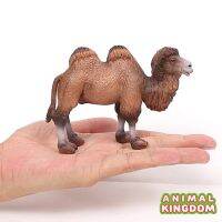 Animal Kingdom - โมเดล Camel อูฐ สองหนอก ขาลาย ขนาด 12.00 CM (จากสงขลา)