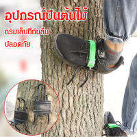 arcade อุปกรณ์ปีนต้นไม้ กันลื่น คุณสมบัติมากมาย