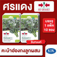 ผักซอง ศรแดง คะน้าฮ่องกง อินทนนท์ F1 บรรจุแพ็คล่ะ 10 ซอง ราคา 230 บาท