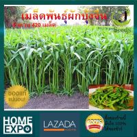 เมล็ดพันธุ์ผักบุ้งจีน จำนวน 420 เมล็ด ปลูกง่าย โตเร็ว  ผักบุ้ง เมล็ดพันธุ์ เมล็ดพันธุ์ผัก เมล็ดพันธุ์พืช ผักสวนครัว