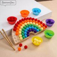 2 in 1 Baby Toddler Color Sorting Game Toys Wooden Montessori Toy With Hairballs Spoons