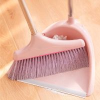 Dust Broom Set and Dustpan for Floor Squeegee Home Cleaning Tools Magic Hair Sweeper Squeeze Mop Garbage Scoop Brush Shovel Pink