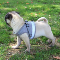 Vest Harness Leash Adjustable Mesh Vest Dog Harness Collar Chest Strap Leash Harnesses With Traction Rope XSSMLXL