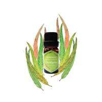 น้ํามันหอมระเหยจากธรรมชาติแท้ 100%  Herbpiness PURE ESSENTIAL OIL ขนาด 10 ml กลิ่น : ใบสะระแหน่