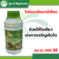 โฟแมกซ์ แมกนีเซียม 300 (Phomax Mg 300) ขนาด 500 ซีซี ตราโซตัส ช่วยให้ใบพืชเขียวเข้ม