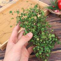 1 Box Simulation Vine for Micro Landscaping Decor Sand Table DIY Dollhouse Accessories