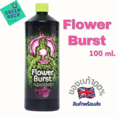 [สินค้าพร้อมจัดส่ง]⭐⭐Buddhas Tree - Flower Burst 100ml ปุ๋ยน้ำเร่งดอก ยอดฮิต จากประเทศอังกฤษ ของแท้ 100%[สินค้าใหม่]จัดส่งฟรีมีบริการเก็บเงินปลายทาง⭐⭐