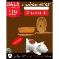 กระถางบอนไซดินแดง 6.5 นิ้ว 2 ชุด แถมกระถางหมาน้อยจอมซน 1ตัว 119 บาท