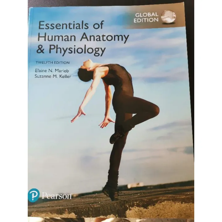 Essential of Human Anatomy and Physiology 12th Edition Global Edition ...