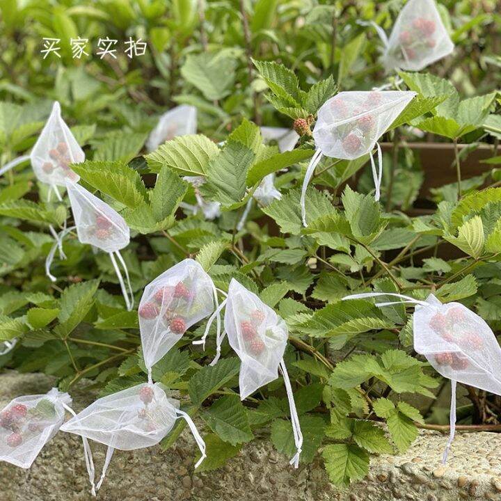 20-50-100pc-vegetable-and-fruit-protection-bag-pest-control-bird-proof-mesh-bag-strawberry-grape-orchard-bagging-mesh-cover