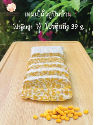 เทมเป้ Tempeh super food by Mom Made โปรตีนคุณภาพดี ถั่วลูปิน 100 กรัม High Protein &amp; Gluten Free (Plant Protein, Vegan, J)