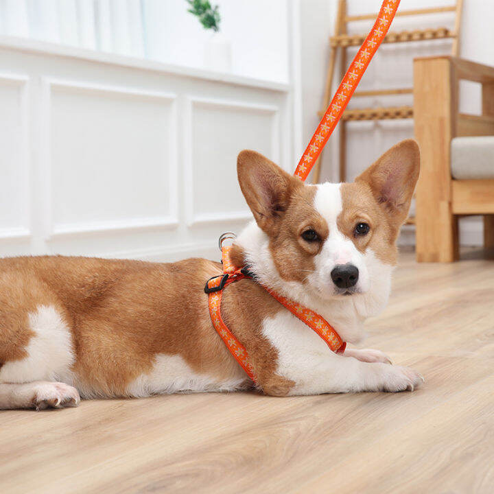 cw-supplies-patch-chest-back-hand-holding-rope-small-dog-chest-strap-dog-leash-hand-holding-rope-in-stock