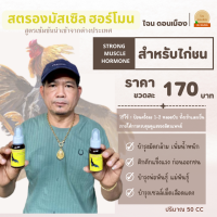 สตรองมัสเซิลฮอร์โมน จากไฉน ดอนเมือง