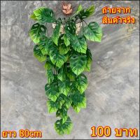 พุ่มมอนสเตอร่าปลอม สุดคุ้มสุดๆ ยาว80cm