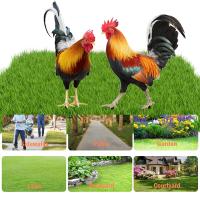 2Pcs Garden Rooster Statue Unique Acrylic Chicken Sculpture Waterproof Ground-Plug For Patio Backyard Outdoor Decoration