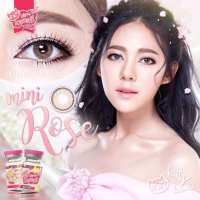 คอนแทคเลนส์ Kitty Kawaii Mini Rose(Gray,Brown) ค่าสายตา 0.00 ถึง -10.00