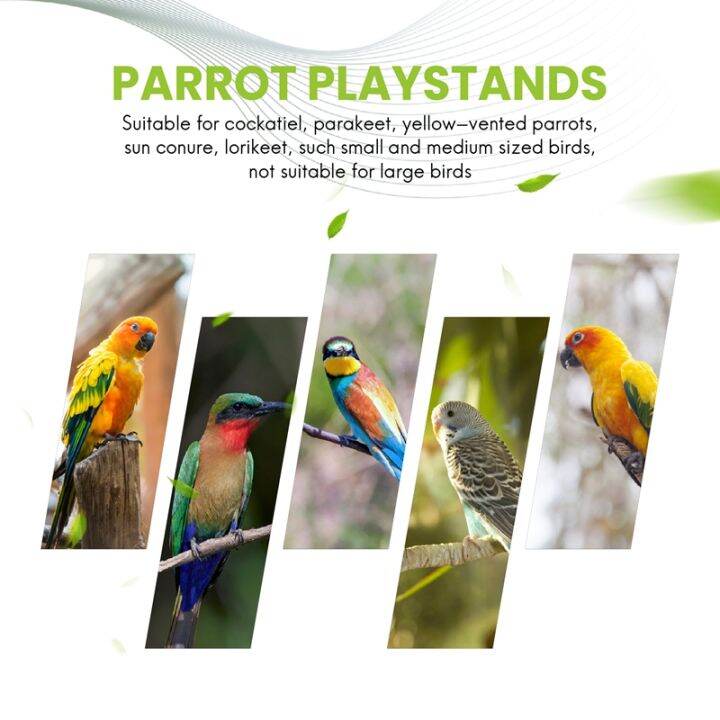 parrots-playground-natural-wooden-parrot-perch-gym-play-stand-parakeet-ladders-with-feeder-cups-and-toys-exercise-play