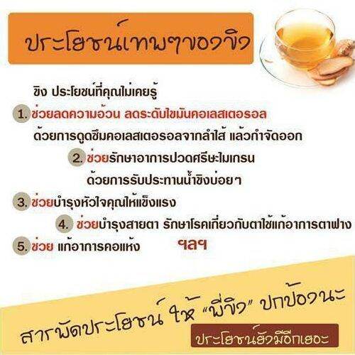 giffarine-ginger-กิฟฟารีน-เครื่องดื่มผงสำเร็จรูป-น้ำขิง-ผสมแอล-คาร์นิทีน-ช่วยขับลม-แก้ท้องอืด-ท้องเฟ้อ