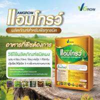 แอมโกรว์ AmGrow