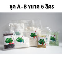 ปุ๋ยAB 5 ลิตร (สำหรับผักไทย)