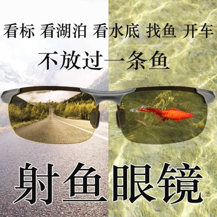 see fish underwater sunglasses