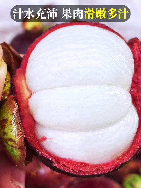 [Billion subsidy] Thailand mangosteen fresh fruit 5a whole box of