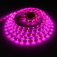 SMD3528 LED Strip 12V 60LEDs/m Neon Pink Flexible LED Strip Waterproof Romantic Living Room Decoration Home Diode Tape LED Light LED Strip Lighting