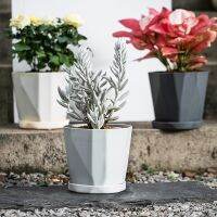 [NEW EXPRESS] INS Style Nordic Simple Imitation Ceramic Plastic Flower Pot Put in Floor Irrigation For Garden Indoor Home Decor Gardening