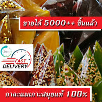 ของแท้ 100% ส่งตรงจากเกาะสมุย เจ้าที่ขายมานานกว่า 20 ปี แบบใหม่ กาละแม กาละแมเกาะสมุย แท้ Coconut Caramel กาละแมกะทิสด กาละแมโบราณ กาละแมสมุย