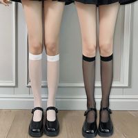 【LZ】◎⊕  3 pares de verão lolita meias sexy jk feminino meninas meias uniforme ver através fina meias longas lolita náilon joelho lolita meias