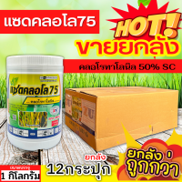 ? ?? สินค้ายกลัง ?? แซดคลอโล75 (คลอโรทาโลนิล) ขนาด 1กิโลกรัมx12กระปุก ป้องกันกำจัดโรคราน้ำค้างที่มีสาเหตุจากเชื้อรา