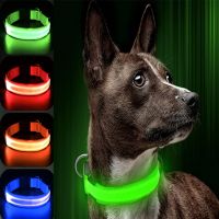 ☑✷✆ Usb Charging Led Dog Luminous Collars Rechargeable Pet Usb Collar Pendant Flash Night Light Safety Dogs Necklace Pet Accessories