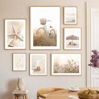 ✠ Beige Beach Starfish Shells Reeds Wall Art ภาพวาดผ้าใบ Nordic โปสเตอร์และพิมพ์ภาพผนังสำหรับห้องนั่งเล่นตกแต่งบ้าน