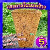 กระถางต้นไม้ 6 นิ้ว (เซ็ต 5 ใบ) ? กระถางใยมะพร้าว ทรงสูง กระถางเพาะชํา  อุ้มน้ำ ระบายอากาศได้ดี รากเดินดี  ย่อยสลายได้เอง ลดโลกร้อน?