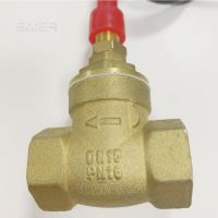 Direct Factory SEN-HS15 Flow Sensor DN15 10W 70W Baffle-Type Lack Of Water Protection Control Signal Switch