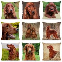 [HOT LZLLZKLKLWGH 559] XUNYU Irish Setter Dog หมอนครอบคลุมสัตว์เบาะรองนั่งหมอนตกแต่งสำหรับห้องนั่งเล่น45X45ซม. GXK10