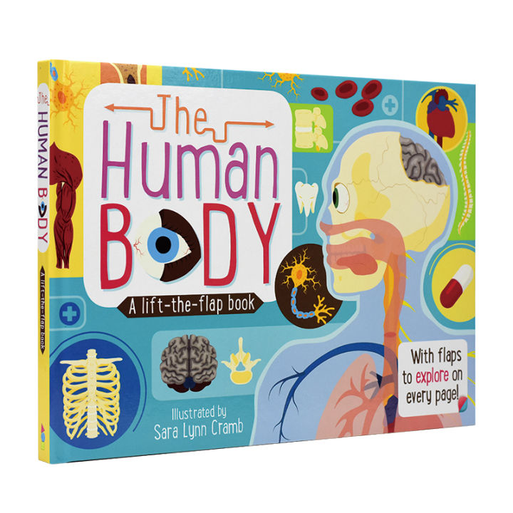 The human body explores the theme of human body. It is imported from ...