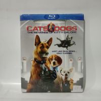 Media Play Cats &amp; Dogs 2: The Revenge of Kitty Galore / สงครามพยัคฆ์ร้ายขนปุย 2 ตอน คิตตี้ กาลอร์ล้างแค้น (Blu-ray+DVD)