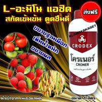 ่ส่งฟรี? โครเนอร์ 1 ลิตร  อะมิโน แอซิด พืช จากเนเธอแลนด์ เพิ่มน้ำหนัก ขยายผล รสชาติดี สีสันสวย เผือก นาข้าว ไม้ผล ธาตุอาหารพืช อาหารพืชทางใบ