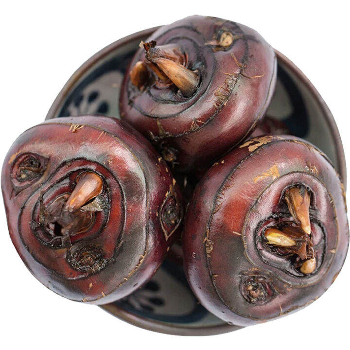 Fresh water chestnut extra large water chestnut seasonal fruit water